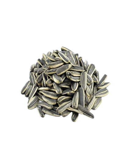 Sunflower seeds