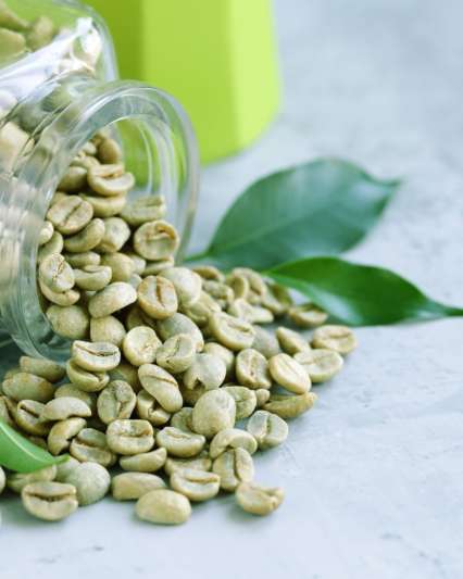 Coffee Arabica