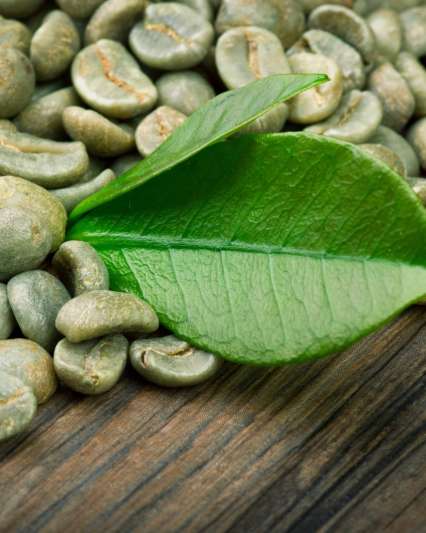 Coffee - Robusta
