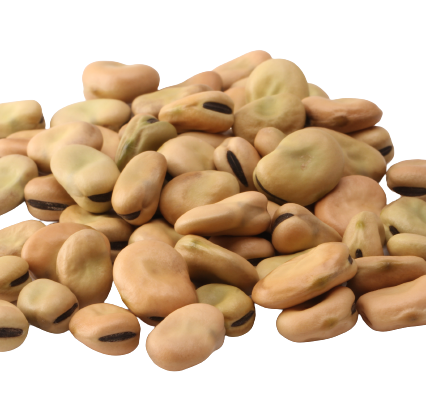 Whole broad beans