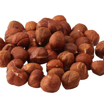 Hazelnut kernels