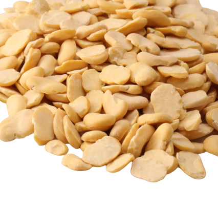 Split faba beans
