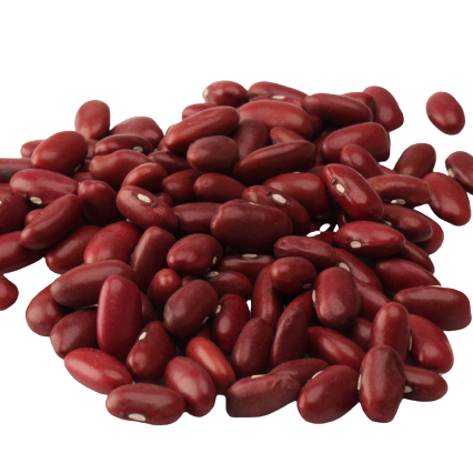 Red kidney beans