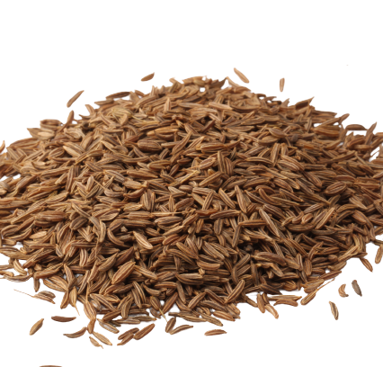 Carawy seeds