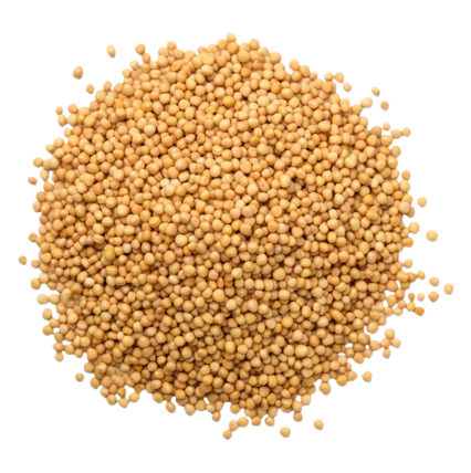 Mustard seeds