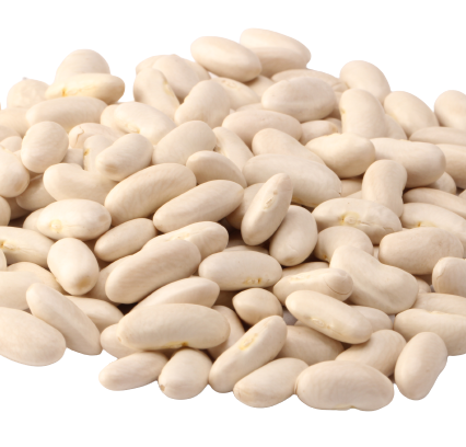 White kidney beans
