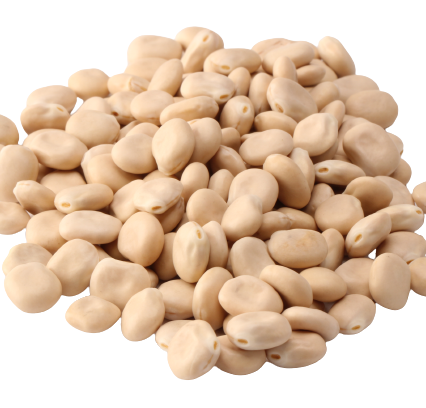 lupins