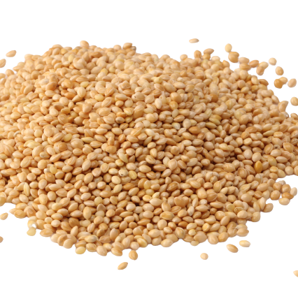 White millet