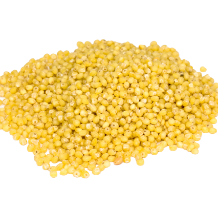 Yellow millet